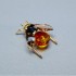 Swarovski Kristal | Crystal Paradise | Alipur - Fire Opal 240359